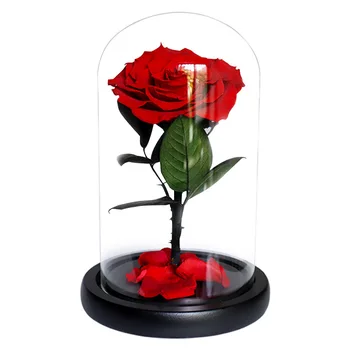 Skønheden og Udyret Rød Rose i en glaskuppel på et Træ Base for Valentine ' s Gave Hjem borddekoration for Evigt Evig blomst