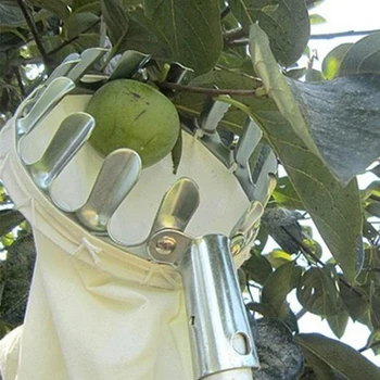 Metal Frugt Picker Orchard Havearbejde Æble Fersken Højt Træ at Plukke Værktøjer Frugt Catcher Indsamler haveredskaber 15cm x 20cm