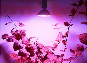 10stk LED Plante Vokser Pære 10W Voksende Lampen E27 Indendørs Dyrkning af Akvatiske Have Drivhus Medicinske Planter, Grøntsager, Urter