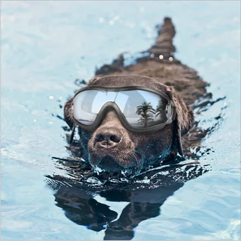 I 2019, Dog Solbriller Vindtæt Anti-breaking Pet Beskyttelsesbriller Øje Slid Beskyttelse Beskyttelsesbriller Sol-resistente Dog Briller Accessaries